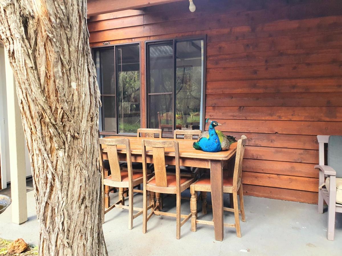 Kerriley Park Farmstay Yelverton Exterior photo