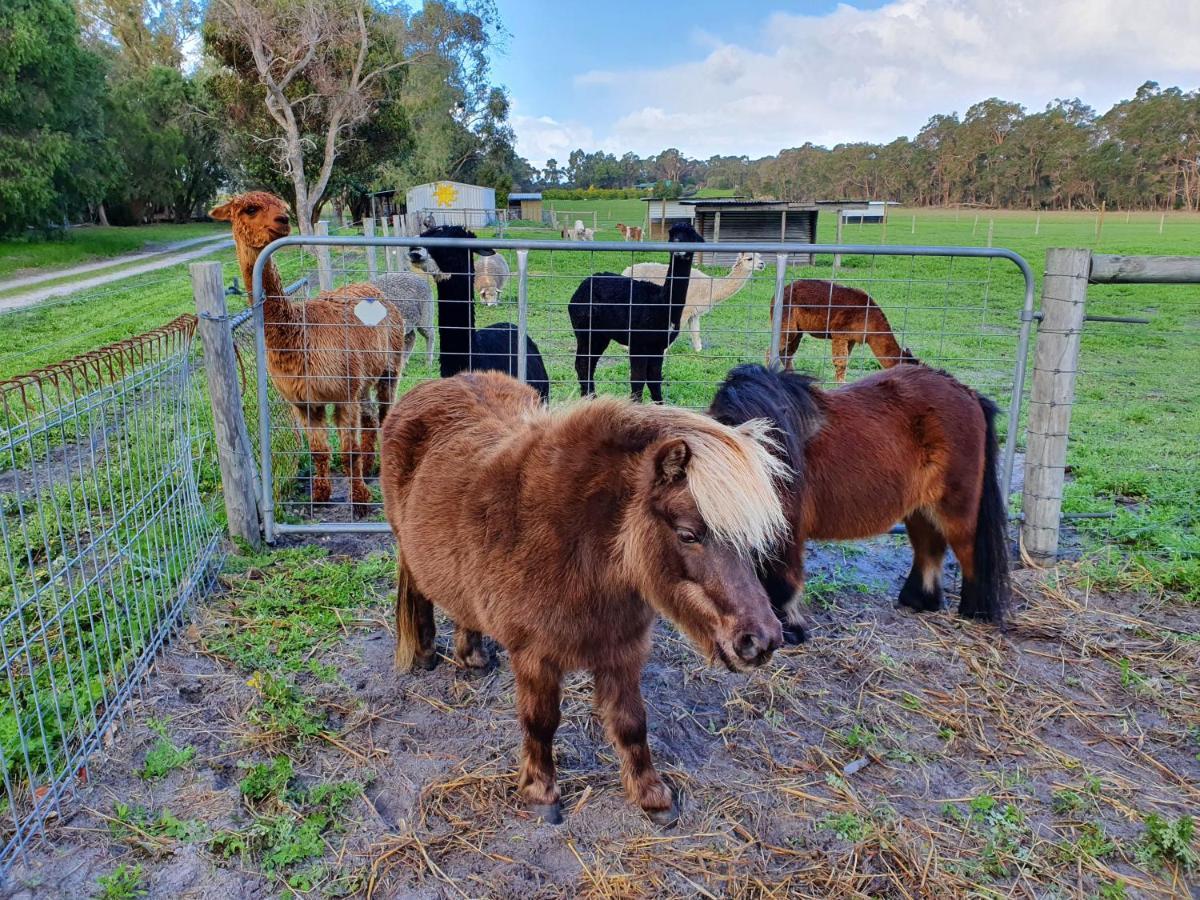 Kerriley Park Farmstay Yelverton Exterior photo